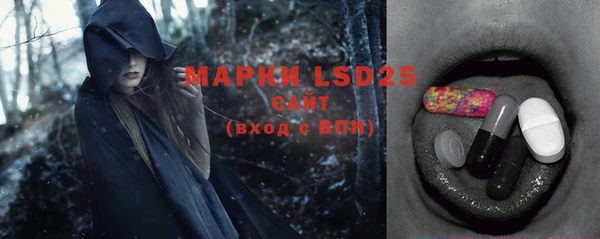 прущие грибы Алексин