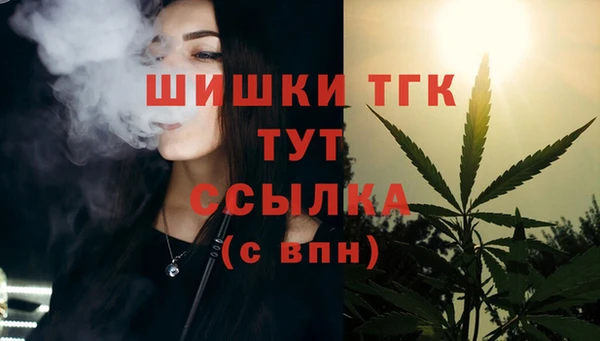дживик Медногорск