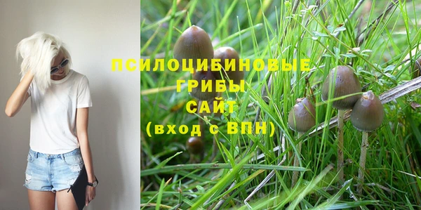 2c-b Алексеевка
